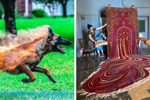 16 фотографий удивительных вещей, о которых вы, возможно, не знали, но они очень круты