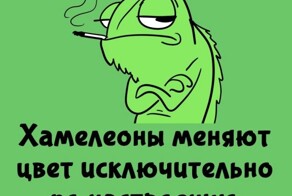 А вдруг ты не знал…