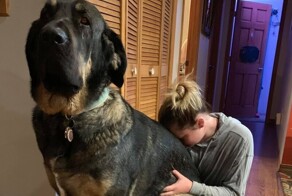 30 очаровательных исполинов, которые растопят любое сердце