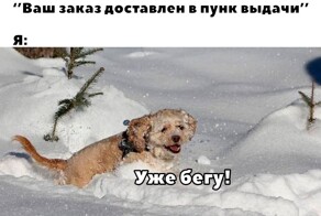 Смешные картинки