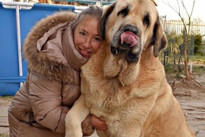 25 восхитительных пёселей, которые даже больше, чем можно себе представить