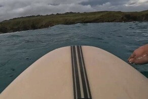 Серфер из Австралии столкнулся с крупной акулой