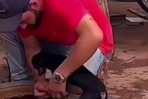 Мужчина дотронулся до пса и "сломал" его