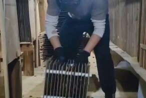 Рабочий день человека, который работает на тараканьей ферме