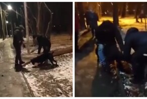 Конфликт владельцев собак в Подмосковье