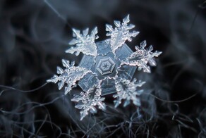 Снежинки