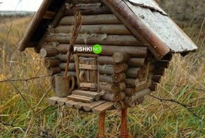 Скрины из соцсетей            