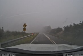 Одним пасмурным и туманным утром: кенгуру составил компанию водителю в Австралии