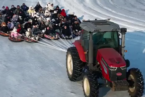 Трактор катает детей на ватрушках