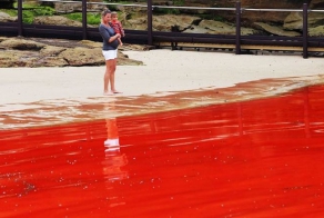 Кровавый океан в Австралии(10 фото)