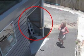 Австралийка встретилась лицом к лицу с питоном в собственном гараже