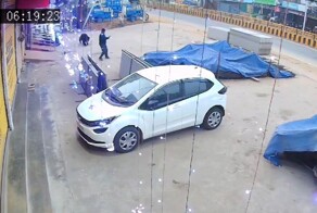 Собаки спугнули медведя, атаковавшего мужчину