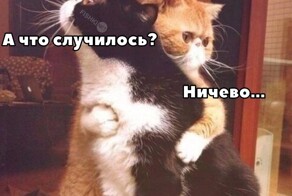 Не ищите здесь смысл. Здесь в основном маразм