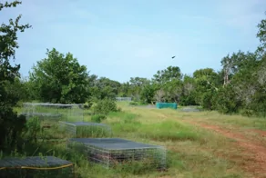 Как в США умершие помогают живым, и почему у нас не прижилась эта практика