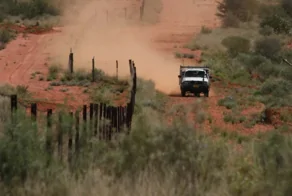«Забор Динго» – причины возведения самого длинного заграждения в мире и последствия этого решения
