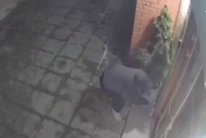 Мужчина пытался украсть растение, но банально не рассчитал силёнки