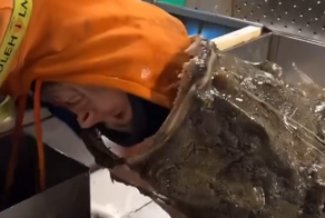 Морской чёрт укусил чудака