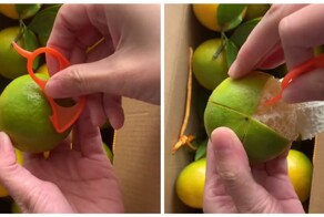 Инструмент для чистки кожуры цитрусовых