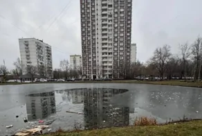 Двое мужчин провалились под лёд в Москве