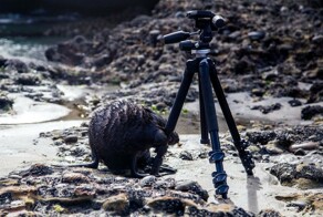 На общую тему&nbsp;