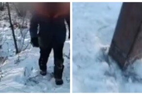Мужчина пытался похитить дорожный знак для ремонта в доме