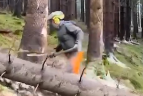 Лесорубы за работой