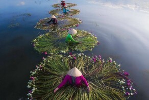 На общую тему&nbsp;