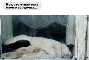 Скрины из соцсетей