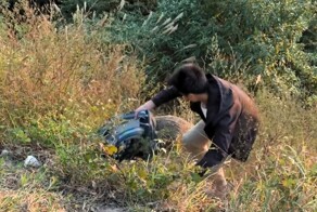 Мужчина подрался с диким кабаном из-за рюкзака