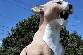 Элегантный зебулонский кугуар – король маленького городка
