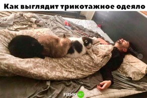 Не ищите здесь смысл. Здесь в основном маразм