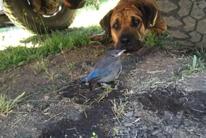 30 фотографий, которые согревают душу и дарят надежду