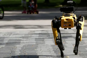 Домашний робот "сбежал" от своих хозяев после землетрясения