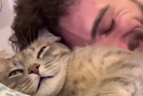 Милейший разговор с кошкой