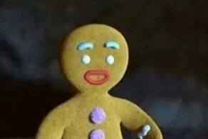 Подруги пряничного человечка