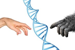 5 неожиданных генетических связей, объединяющих человека с кое-чем интересным