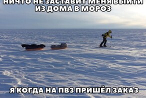 Скрины из соцсетей            