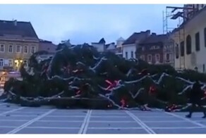 В Румынии упала самая высокая новогодняя елка