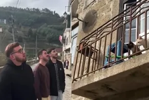 Французы спели серенаду для двух котов