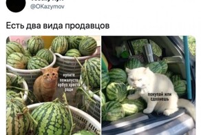 Смешные картинки