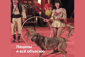 Почему волки в цирке не выступают