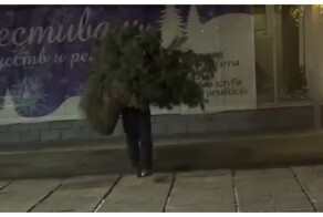 Пьяный мужчина попытался украсть елку