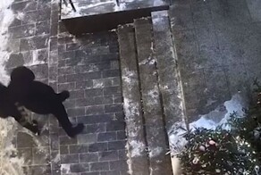 Мужчина украл ёлку в центре Москвы