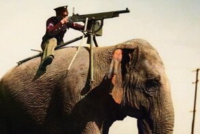 Как в XIX веке исчезла последняя слоновая армия. История необычной тактики, которая не сработала
