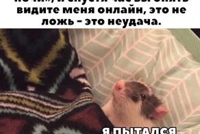 Скрины из соцсетей            