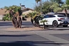 Роботакси дало сбой и стало наматывать круги по кольцевой