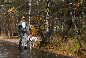 Слепую девушку выгнали из кинотеатра из-за пса-поводыря