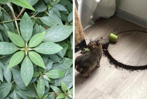 Фотографии, глядя на которые любой перфекционист выдаст себя довольной улыбкой