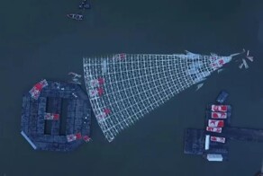 В Бразилии рухнула плавучая рождественская ель