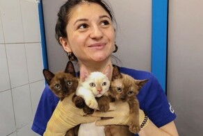 30 ветеринаров, показавших процесс и результат своего нелёгкого труда и продемонстрировавших довольных пациентов